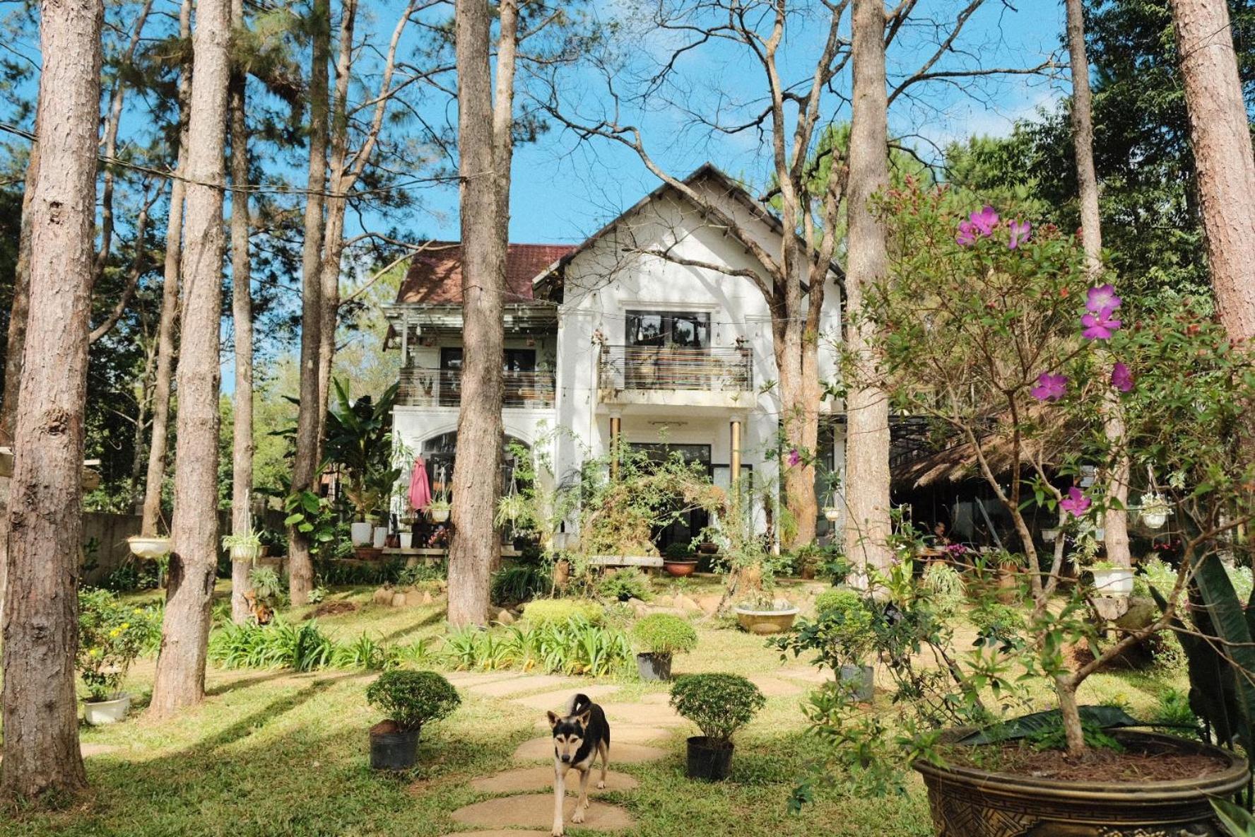 S'Nghe Homestay Mang Den Kon Von Kla Bagian luar foto
