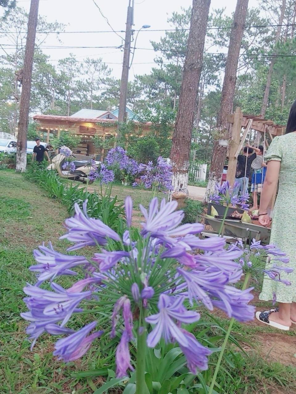 S'Nghe Homestay Mang Den Kon Von Kla Bagian luar foto