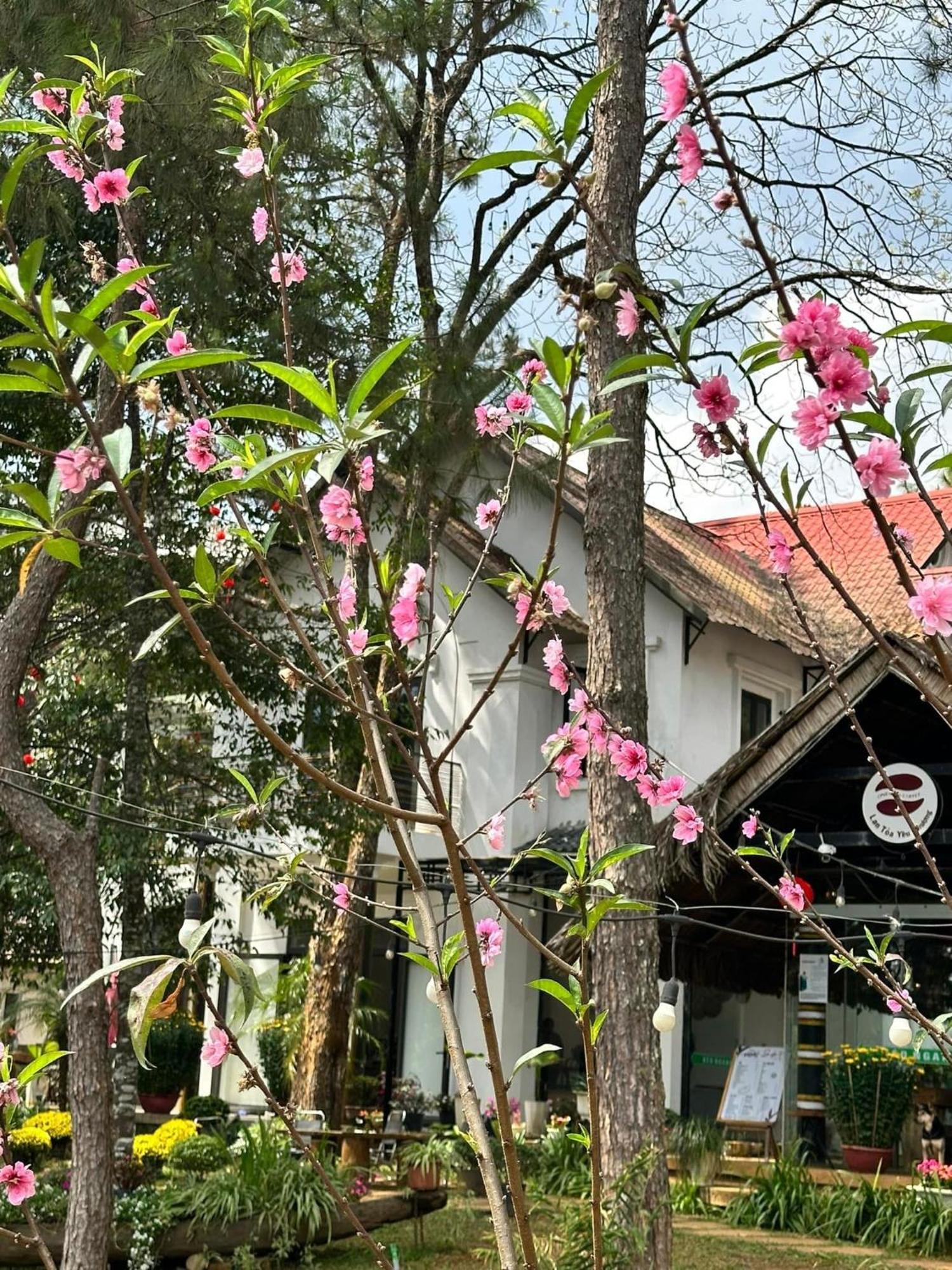 S'Nghe Homestay Mang Den Kon Von Kla Bagian luar foto