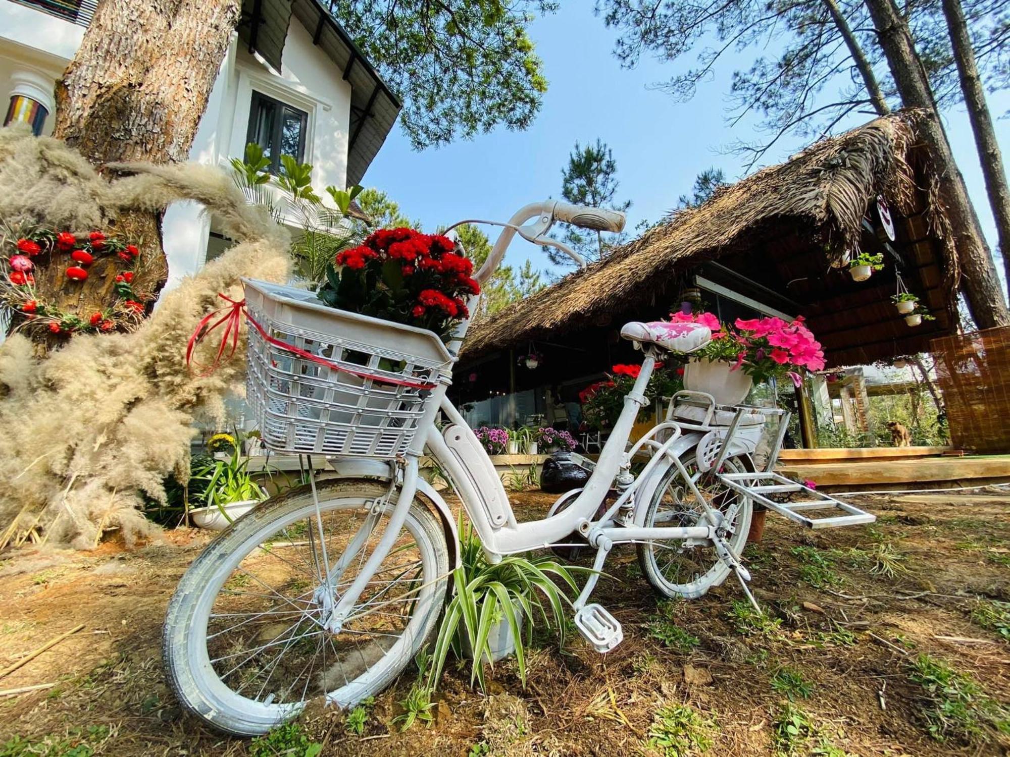 S'Nghe Homestay Mang Den Kon Von Kla Bagian luar foto